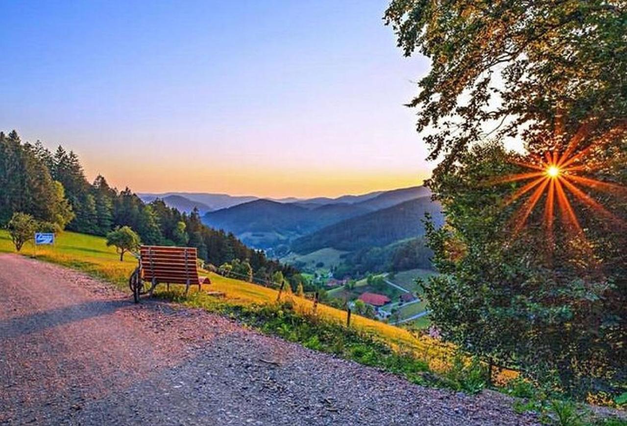 Ferienhaus Wendelinus Mit Pool & Sauna Hausach Zewnętrze zdjęcie