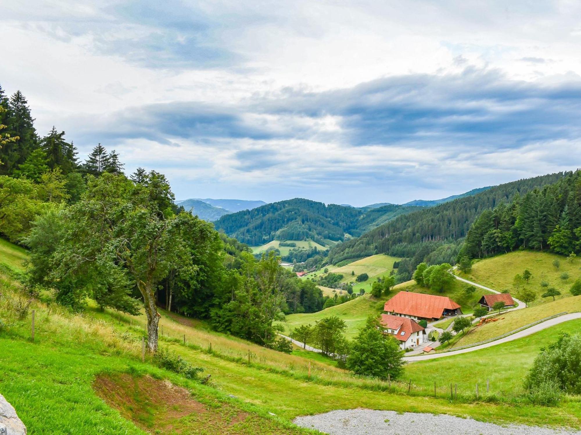 Ferienhaus Wendelinus Mit Pool & Sauna Hausach Zewnętrze zdjęcie